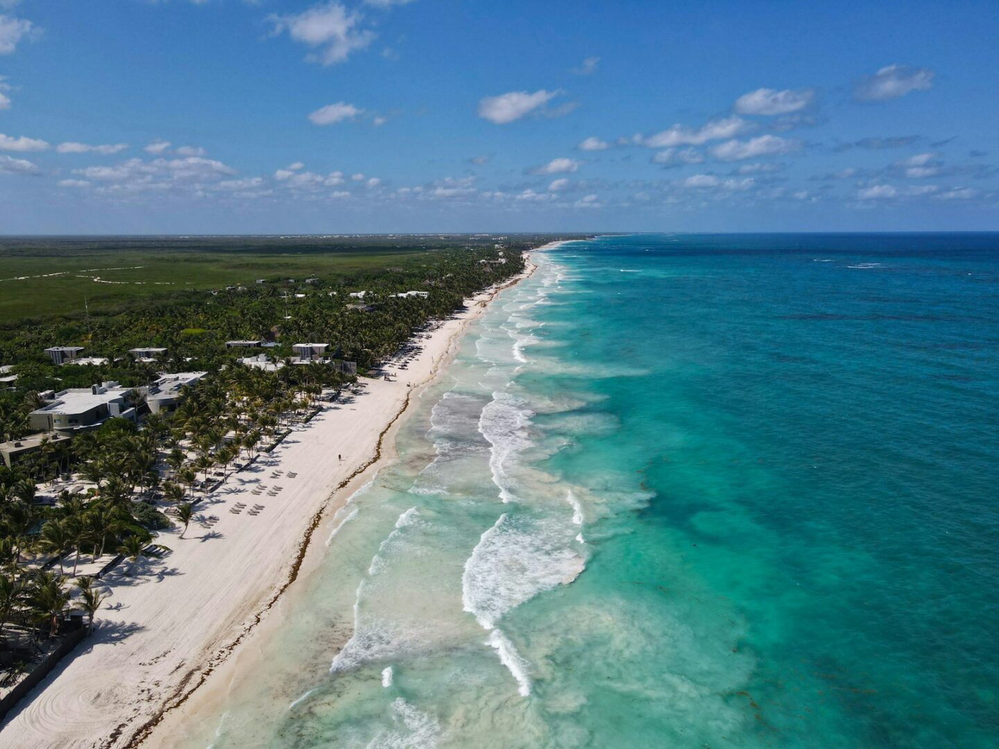 Turquoise water meeting a palm-lined beach in Mexico
