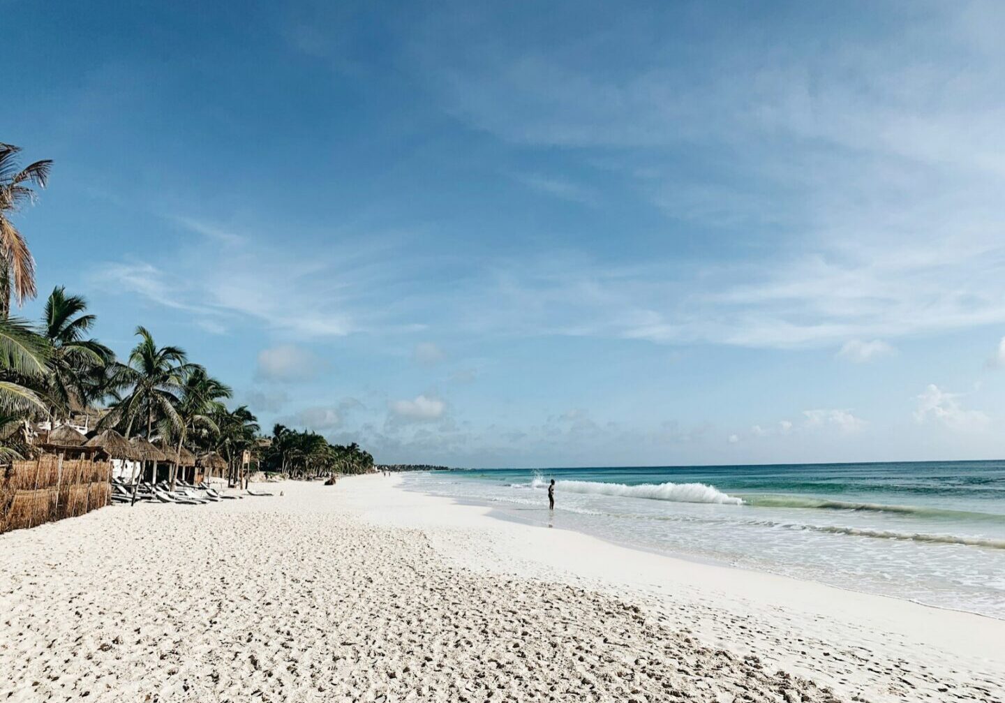 Palm trees along a white-sand beach in Tulum